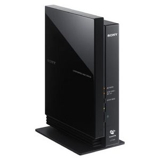 Lf-b10