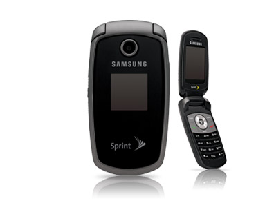 Samsung_sph-m300