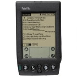 Palm-viix-300x300
