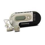 Gw_dmp-300